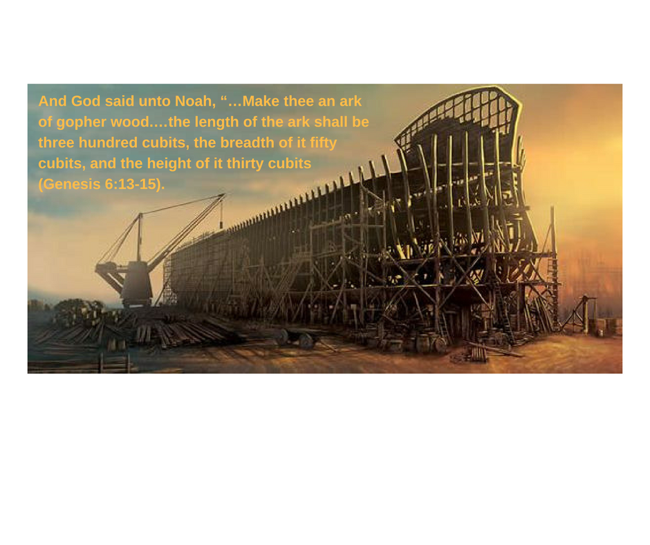 08-The Construction of the Ark with verse